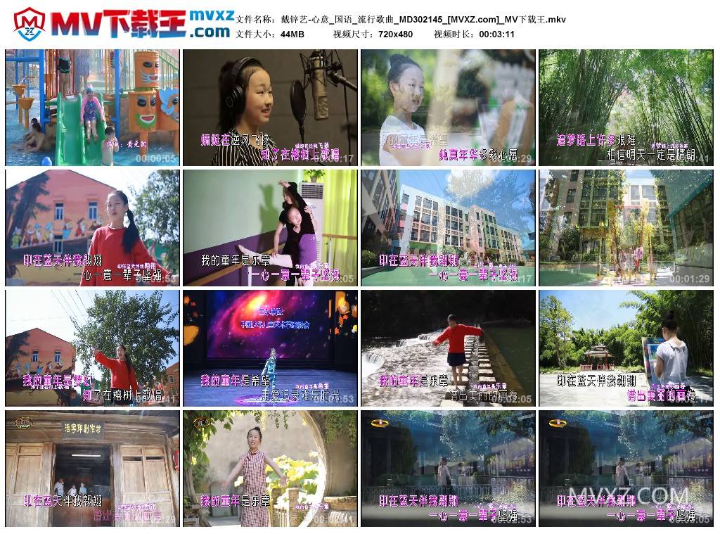 戴锌艺-心意_国语_流行歌曲_MD302145